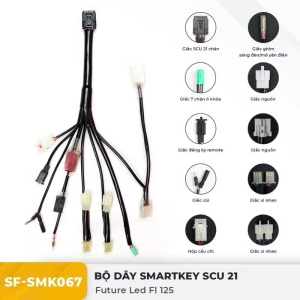 Dây điện Smartkey 21 chân Future 125 Led SunFa