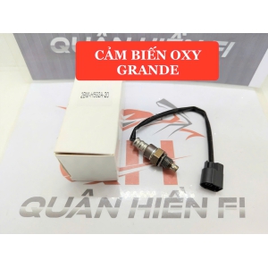 Cảm biến Oxy Grande ( BH 6 tháng )