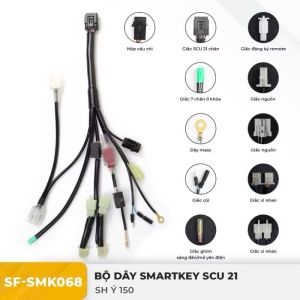 Dây điện Smartkey 21 chân SH Ý SunFa