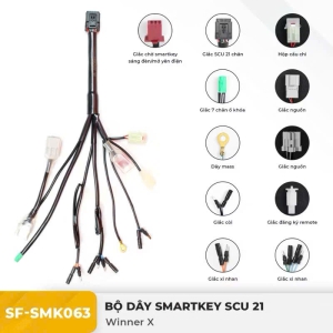 Dây điện Smartkey 21 chân WINNER X SunFa