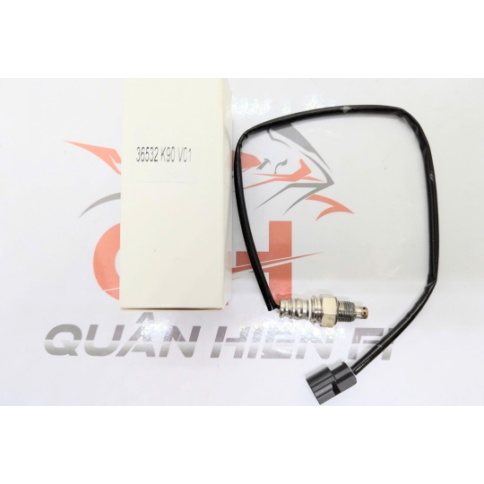 Cảm biến Oxy Wave RSX FI ( BH 6 tháng )