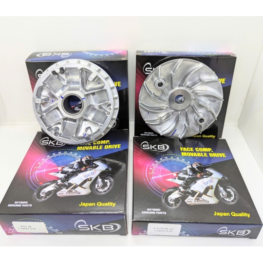 Chén bi cánh quạt AB16, Vario 150, Click 150, PCX 150 hiệu SKB